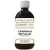Dr Giorgini Dr. Giorgini Integratore Alimentare, Carpino Gemmoderivato Concentrato Liquido Analcoolico - 500 ml