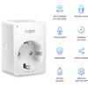 TP-Link Tapo P100 presa intelligente 2300 W Bianco