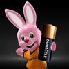 Duracell Sicurezza MN21 B2 2pz