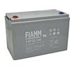 FIAMM Batteria FIAMM Agm 12v 6v FG FGL FGH FGHL Piombo Ups Camper Allarme Fotovoltaico
