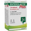 Sofar ENTEROLACTIS PLUS 14 BUSTINE