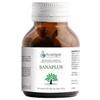 Arcangea Sanaplus 60 Capsule