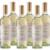 Provinco Il nordico Aimone Bianco - Provinco - Formato: 4.50 l