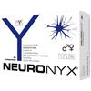 AMILOS Srls A SOCIO UNICO Integratore Neuronyx con L-acetilcarnitina, 30 compresse