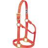 Weaver Equine Weaver Leather Original - Cavezza per cavallo in nylon, non regolabile, M, arancione