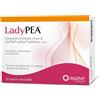 AGAVE Srl LADYPEA 20 BUSTINE OROSOLUBILI