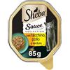 Sheba Sauce Collection in Salsa, Cibo per Gatto con Tacchino, Pollo & Verdure - 22 Vaschette da 85 g, Totale 1870 g