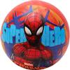 Toyland® 9 (22 cm) Spiderman Marvel Play Ball - Giocattoli e Giochi da Esterno