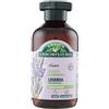 Antica Erboristeria - Shampoo Illuminante alla Lavanda per Capelli Normali, Formula Vegan senza Siliconi e Coloranti - 250ml