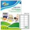 TICO Etichette adesive LP4W - in carta - angoli arrotondati - permanenti - 76,2 x 46,4 mm - 12 et-fg - 100 fogli - bianco - Tico (unità vendita 1 pz.)