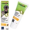 Camon Dentifricio in Pasta - G867 - Camon - Dentifricio in Pasta - 70GR