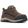 Columbia CRESTWOOD WATERPROOF Scarpe Da Trekking Basse impermeabili Uomo, Marrone (Mud x Squash), 46 EU