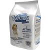 DIGMA Tappetini per Cani di Taglia Piccola ai Carboni Attivi - Pack da 45 Pz - Super Assorbenti e con Adesivi