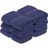 Superior Set di 6 asciugamani per il viso in pile di cotone egiziano, ultra morbidi e lussuosi, essenziali in peluche spesso, assorbenti e pesanti, per bagno degli ospiti, hotel, spa, bagno di casa,