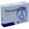BIOGROUP SPA SOCIETA BENEFIT Psicophyt Remedy 29a 4 Tubi 1,2 G