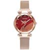 Basfur Dress Watch Fe-Montre-066-01