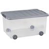 Allibert CURVER Scatola multiuso Scotti 50 l con ruote in plastica trasparente/grigio, 35 x 25 x 10 cm