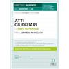Dike Giuridica Atti giudiziari di diritto penale per l'esame di avvocato. Con aggiornamento online
