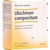 Guna Heel Ubichinon Compositum 10 Fiale 2,2 ml