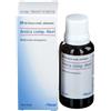 Guna-Heel Arnica Compositum Gocce Omeopatiche 30 ml