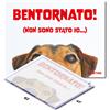 Dastick Tappetino Decontaminante - Dog | Dastick