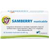 Alkadae SAMBERRY MASTICABILE 30 TAVOLETTE