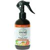 POOL PHARMA Srl Etereal Fiori d'Arancio Spray per Tessuti e Ambienti con Igienizzante 250 ml