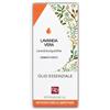 Fitomedical LAVANDA OE 10ML