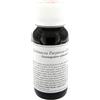 LABOR VILLA STODDARD Srl LVS 67S ECHINACEA PURPUREA COM
