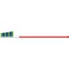 TAUMARIN SPAZZ SCAL33 M ANTIBA