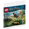 Lego Gioco da costruzione Lego Harry Potter Pratica di Quidditch Multicolore 55pz [30651]