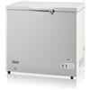 Forcar Congelatore a pozzetto Modello G-BD305S