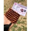 2 X LAB CERTIFICATE 5 Mukhi RUDRAKSHA Rudraksh Mala ROSARIO 108+1 Perline 10m...