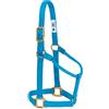 Weaver Equine Weaver Leather Cavezza per cavallo in nylon, non regolabile, colore blu uragano, per pony
