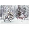 Dhr Worldwide, Inc Quadro Natalizio con Bosco INNEVATO E LUCI LED