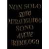 Independently published Non Solo Sono Meraviglioso Sono Anche iridologo: Agenda 2023-2024 Settimanale e Giornaliera A4 Grande Formato | Calendario mensile 2023|2024, 24 Mesi | Pianificatore a 2 anni (Regalo per iridologo)
