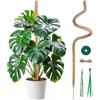 Mcbazel Tutore Piante Rampicanti su Picchetto di Pante 120 cm, Supporto per Piante di Cocco,Larghezza 7 mm, Pieghevole Palo di Crescita di Piante Rampicanti per Piante Monstera/Giardino