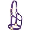 Weaver Equine Weaver Leather Original - Cavezza non regolabile in nylon, per cavallo tra 1 e 2 anni, L, viola