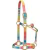Weaver Leather 35-6795-R1 Capezza regolabile in poliestere arcobaleno per mento e gola a scatto, cavallo medio 2,5 cm