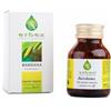 Erbex Bardana 380mg 100 Capsule