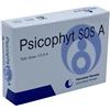 Psicophyt Remedy 24 Sos A 4 Tubi 1,2 G 4x1,2 g Pipette monodose