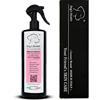 Dog's Health - Spray Igienizzante Cane Purifyl 500ml - shampoo secco per cani delicato. Utile come pulisci zampe cane, pulizia orecchie cane, per la pulizia delle parti intime del cane, Senza OGM