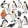 TOYMANY Set di 12 figure di pinguini animali dell'Antartide, figure di animali polari da gioco invernale, piccole figure di animali in plastica realistiche, figure di pinguini animali, per giocare o