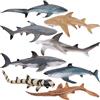 TOYMANY Set di 8 statuette di squalo di animali marini con squalo martello, squalo bianco, squalo limone, giocattolo da bagno per bambini, per giocare o come decorazione
