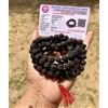 2 X ROSARIO 108+1 Mukhi RUDRAKSHA CERTIFICATO IN LABORATORIO 5 Mukhi RUDRAKSH...