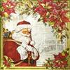 Dear Santa Deluxe Paper Silver