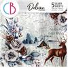 Winter Journey Deluxe Paper Silver