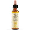 Schwabe Pharma Italia Schwabe Pharma Gentian Bach Orig 20 ml Gocce orali