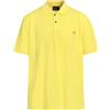 PEUTEREY - Polo