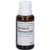 Guna Berberis-Homaccord® 30 ml Gocce orali